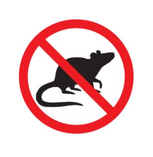 anti rat paris